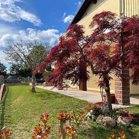 Casa Giulia Villa Monzambano Luaran gambar